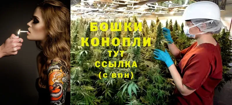 Каннабис OG Kush  Азов 